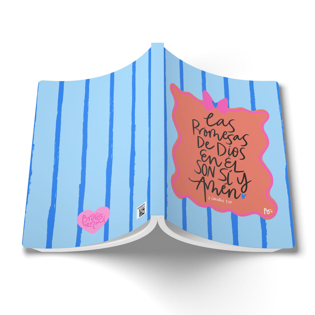 JOURNAL: Promesas