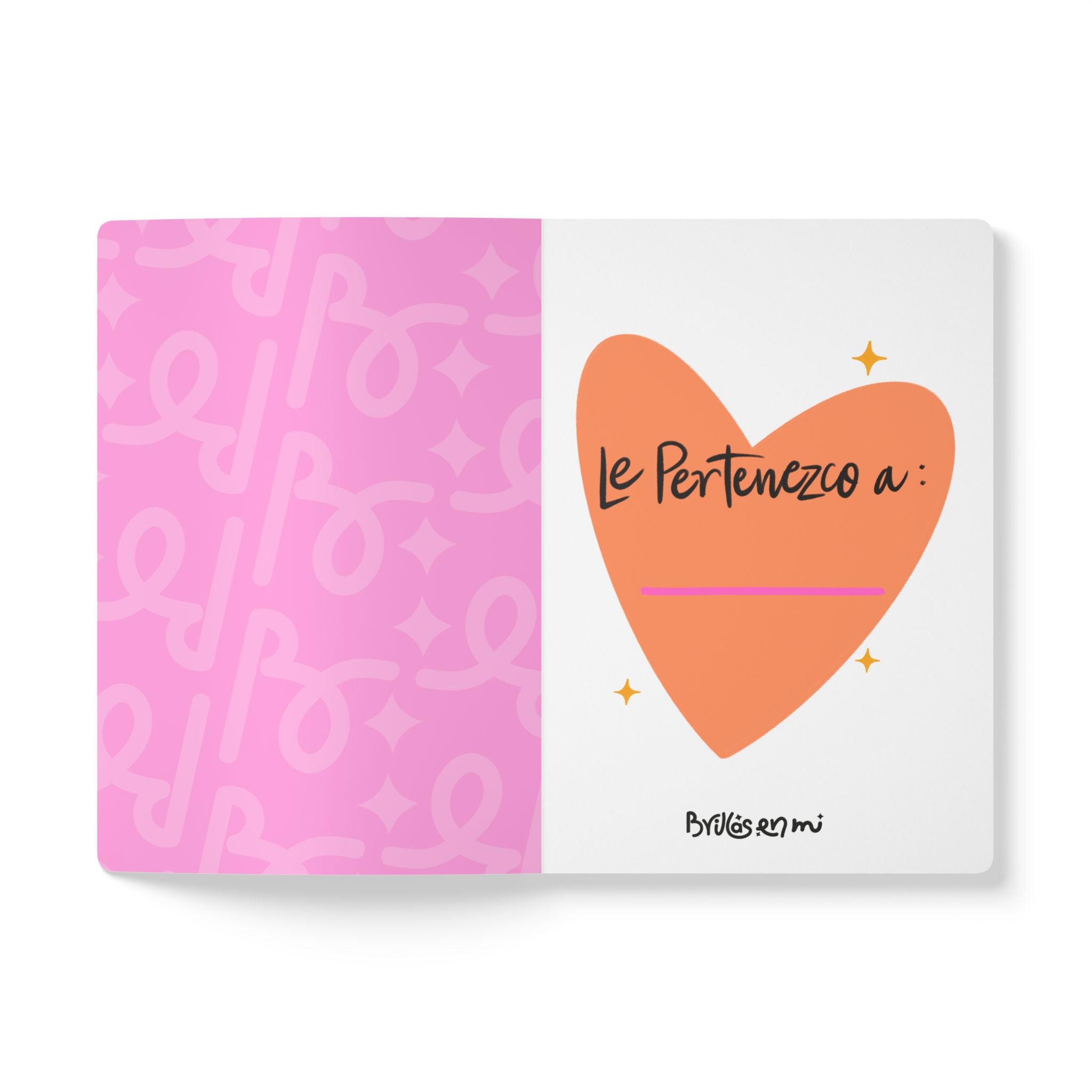 JOURNAL: Promesas